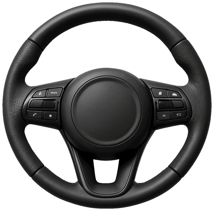 Steering wheel controls